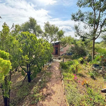 Casa Flamingo Immersa Nella Tranquillita *