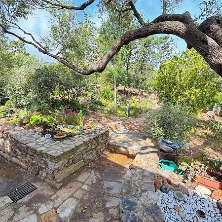 Casa Flamingo Immersa Nella Tranquillita 펜션 Schifoni
